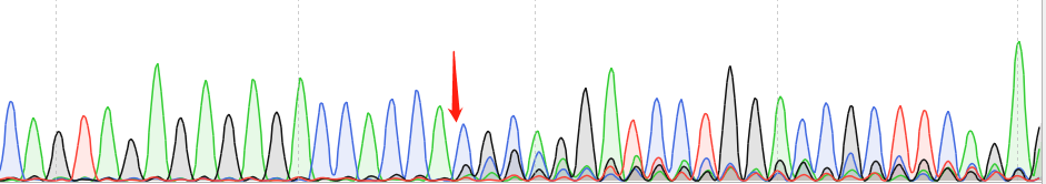 Hepa 1-6-CAS9 cell line Product Validation Data（RT-QPCR）